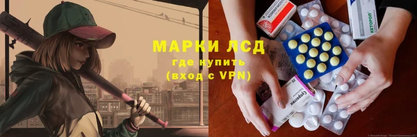 хмурый Алзамай