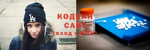 хмурый Алзамай