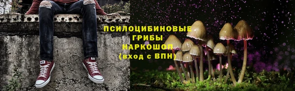 хмурый Алзамай