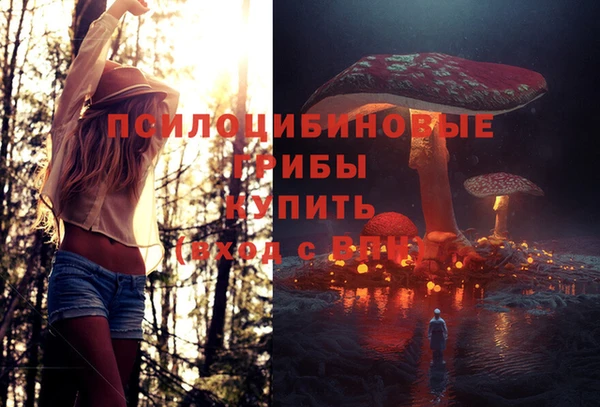 каннабис Алексин