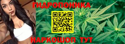 МДПВ Донецк
