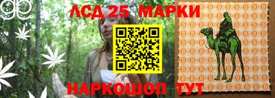 mdma Дубна