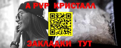 спиды Донской