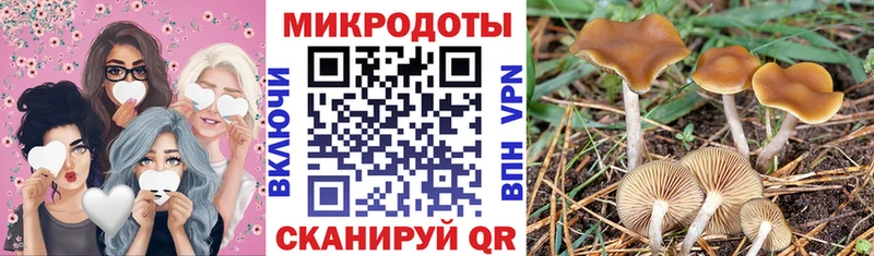 Псилоцибиновые грибы мицелий  Нововоронеж 