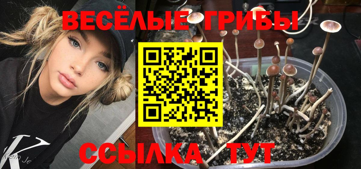 Псилоцибиновые грибы ЛСД Нововоронеж