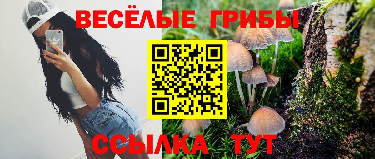 Псилоцибиновые грибы Cubensis  Вход с VPN  дарнет шоп  Галлюциногенные грибы мухоморы  Нововоронеж 