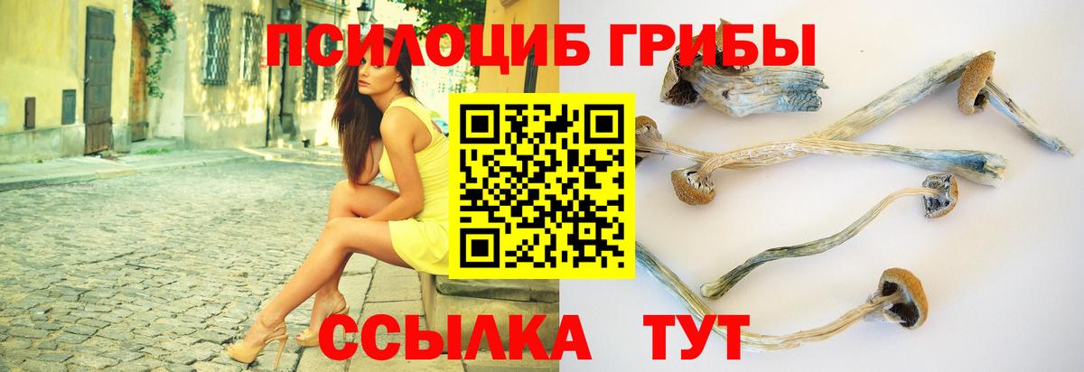 Псилоцибиновые грибы MAGIC MUSHROOMS Нововоронеж