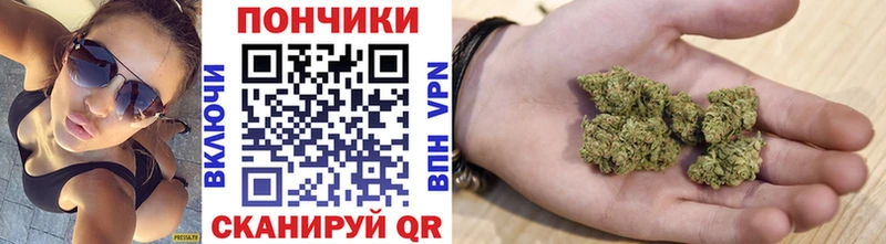 shop наркотические препараты  где найти наркотики  Нововоронеж  Бошки марихуана ГИДРОПОН 